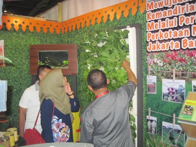 Promosi Wall Gardening Sayuran